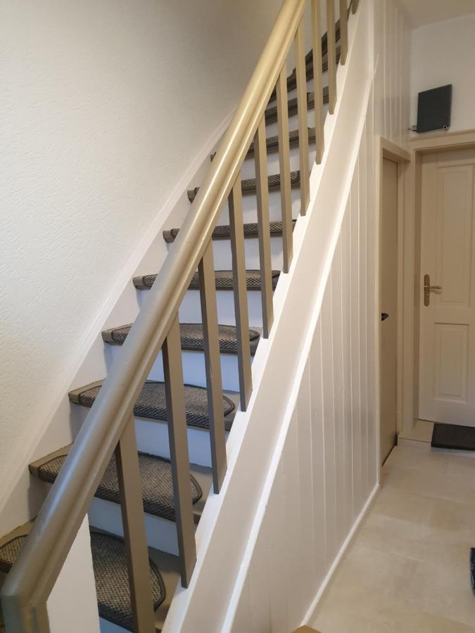 Neu Gemuetliche Ferienhaus Mit 3 Ferienwohnungen "Max " , " Leonore " Und "Beatrice" 할렌버그 외부 사진