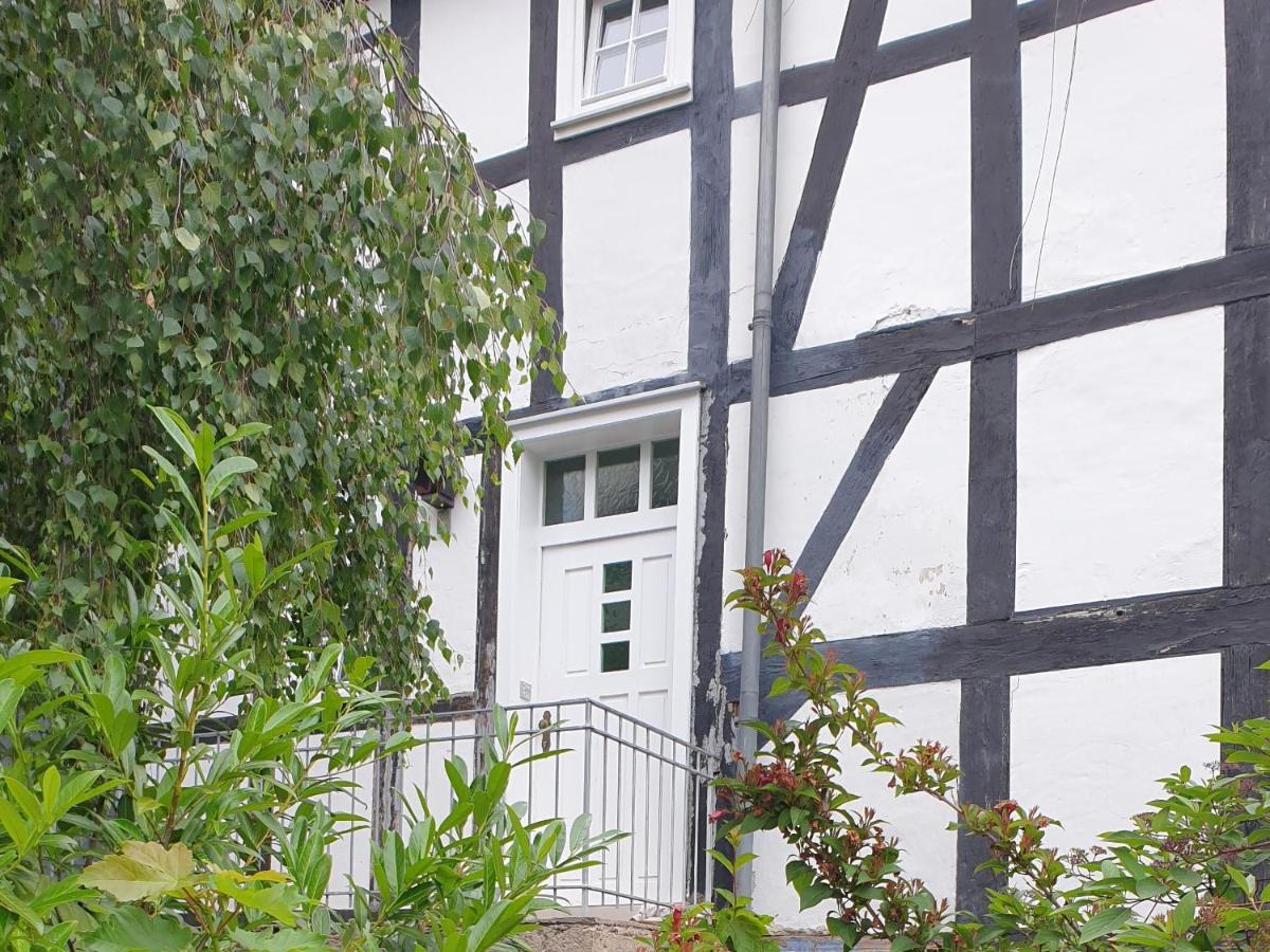Neu Gemuetliche Ferienhaus Mit 3 Ferienwohnungen "Max " , " Leonore " Und "Beatrice" 할렌버그 외부 사진